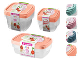Conjunto com 11 Potes Plásticos Herméticos, Tampa Fácil, 530ml, 785ml e 800ml - Sanremo Cor:Sortido